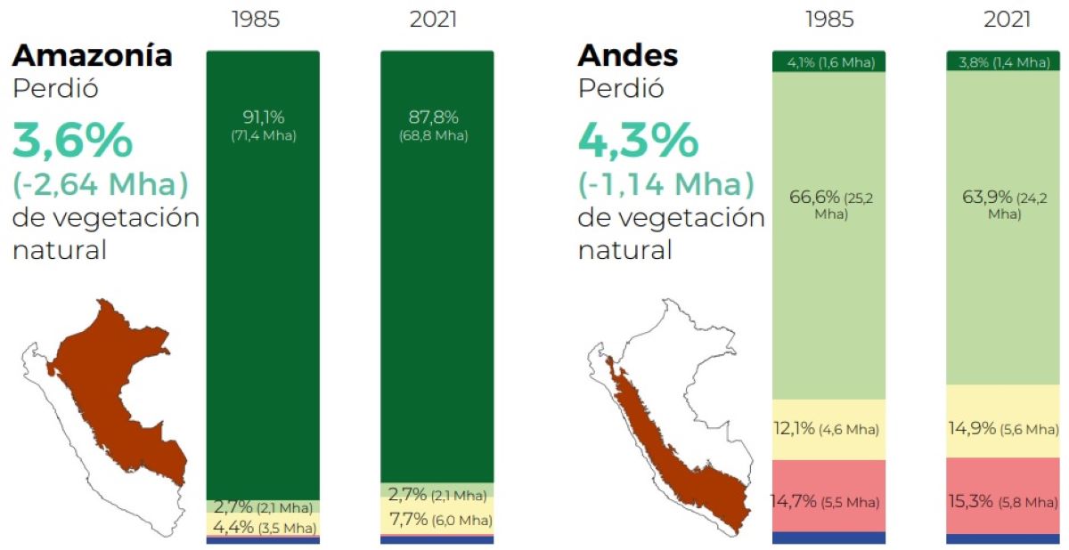 Titulación de comunidades nativas y creación de Áreas Naturales Protegidas frenan la pérdida de bosques