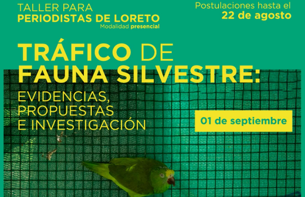Otorgarán becas a periodistas loretanos para taller sobre tráfico de fauna silvestre