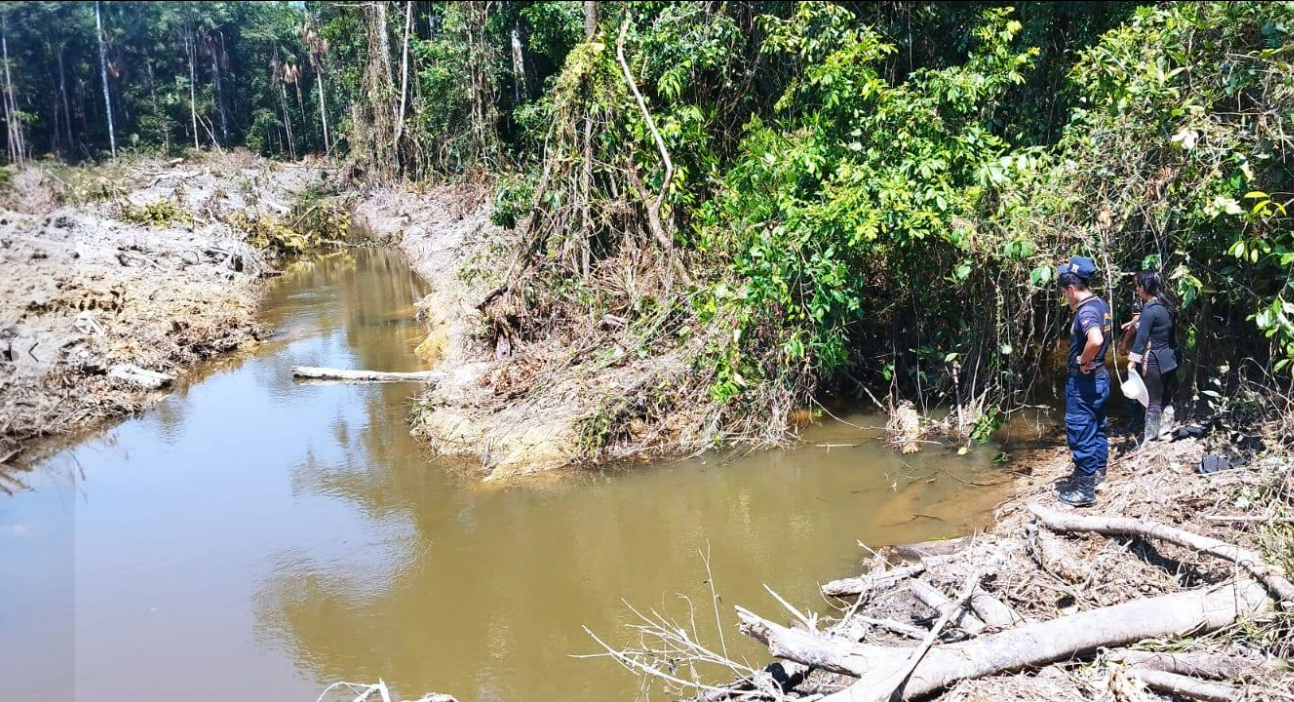 Huánuco: Dañan 10 hectáreas de cobertura vegetal en José Crespo y Castillo