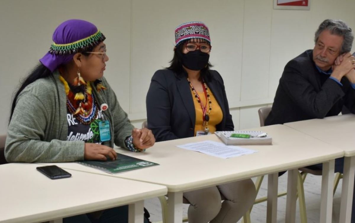 Olivia Bisa: “El gobierno peruano debe garantizar jurídicamente salud y educación intercultural y derecho al territorio”