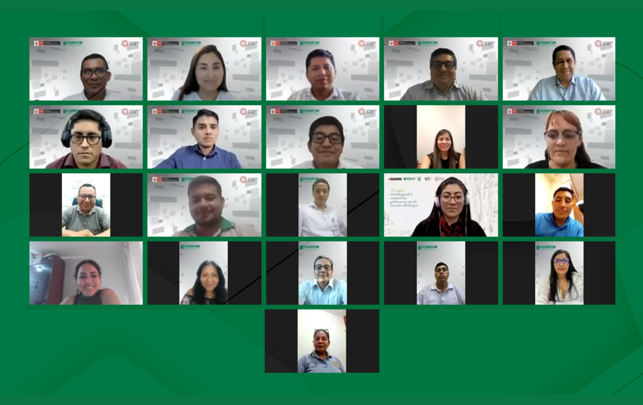 Fiscales de Ucayali se capacitan en detección y fiscalización de delitos forestales y de fauna silvestre