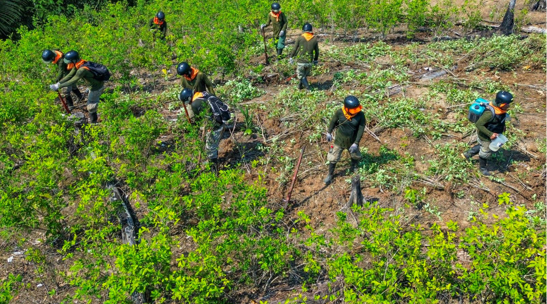 Loreto: Destruyen 12 laboratorios de procesamiento de drogas en el Putumayo