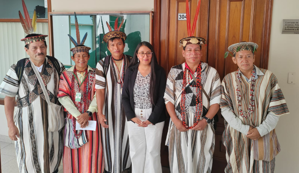 Líderes indígenas amazónicos alertaron que sufren daños causados por actividades ilegales