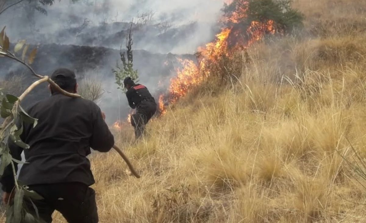 Olas de calor y sequías: Escenario peligroso para incendios forestales que van en aumento y son de mayor magnitud