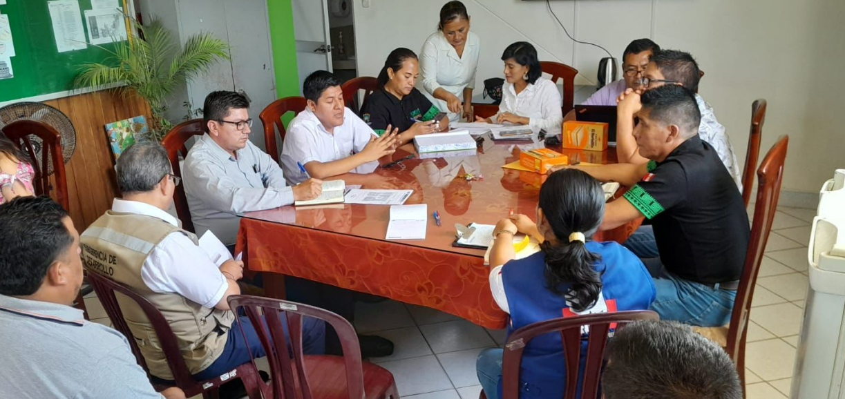 Advierten sobre la pérdida de áreas verdes en Tingo María