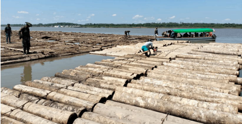 Ucayali: Intervienen madera valorizada en más de S/6 millones