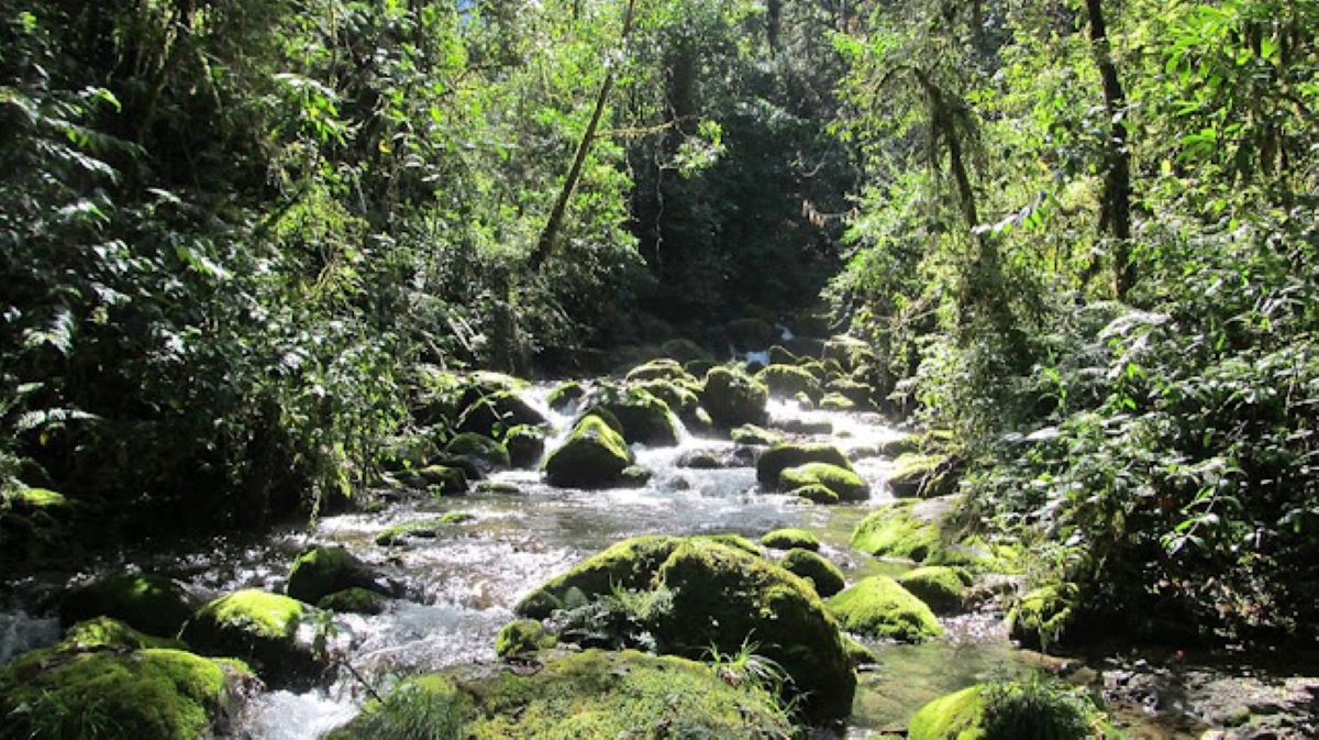 Estado no responde a las demandas de los pueblos asháninka y yanesha