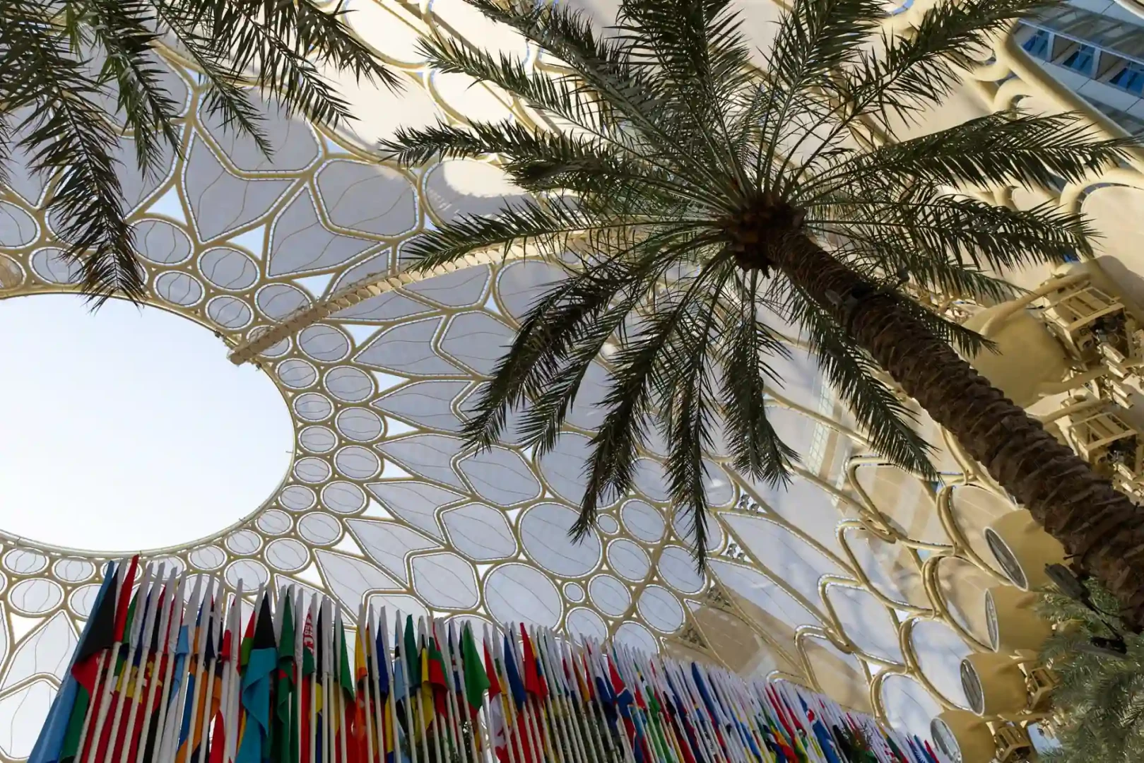 COP28: El respaldo para superar la crisis climática en Latinoamérica