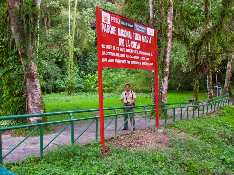 Vigilantes de la conservación del Parque Nacional Tingo María
