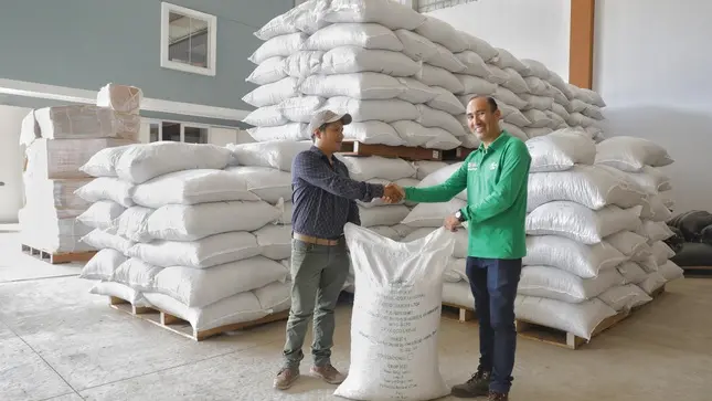 Vraem: Cooperativa Kemito Sankori logra la exportación de 25 toneladas de cacao orgánico