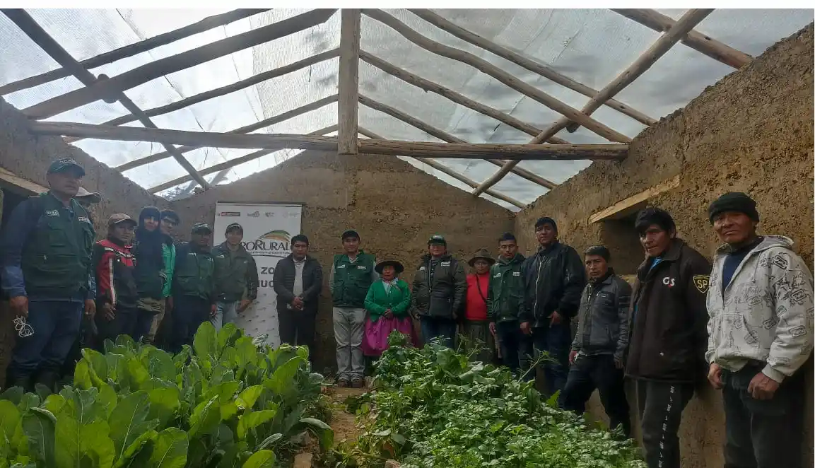 Huánuco: Agrorural impulsa actividades a favor de actividad ganadera en Huamalíes