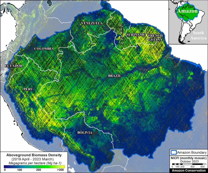 Amazonía: Estiman 37 mil millones de toneladas métricas de carbono