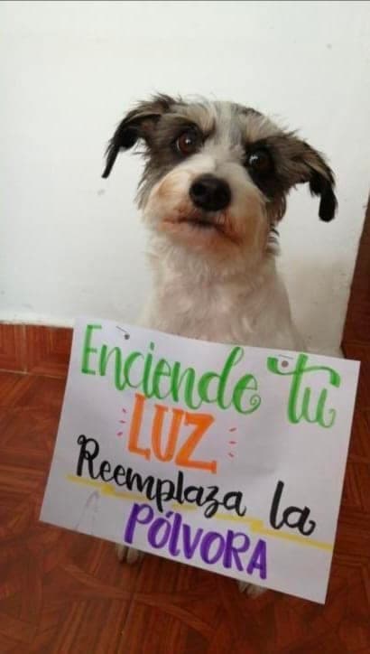 Satipo: Fomentan el no uso de pirotecnia en estas fiestas