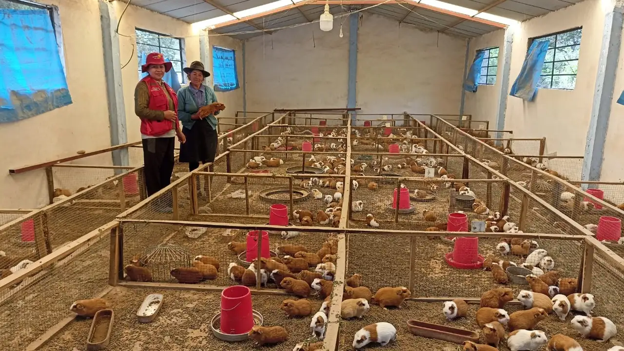 Haku Wilay cuenta con una inversión es de S/ 49 794 000 para un periodo de tres años.