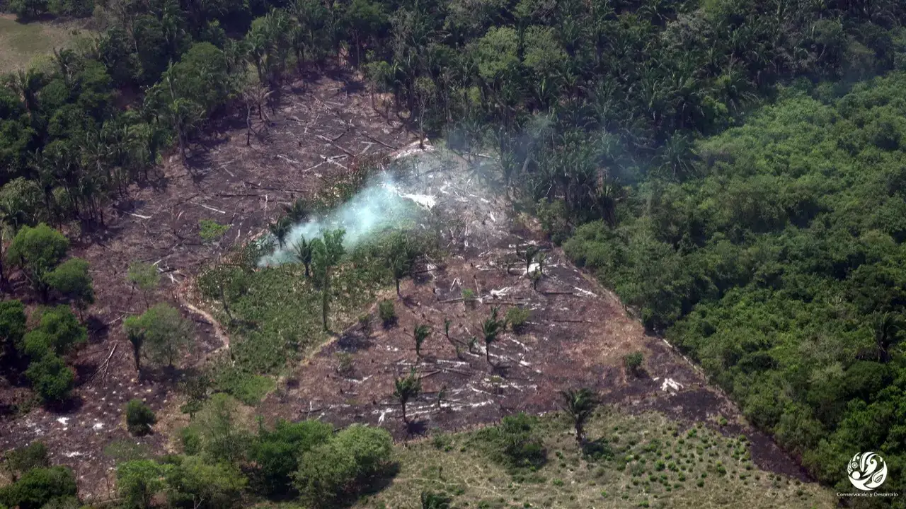 Deforestacion-Foto-FCDS