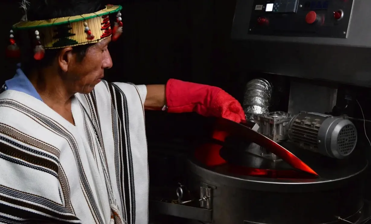 Premian producción de café libre de deforestación y de alta calidad en Pasco