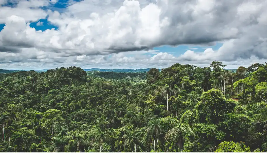 Reserva Comunal Asháninka con nuevo plan maestro