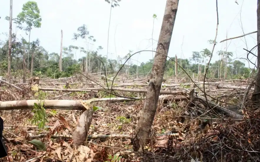 Narcotráfico: Amenaza creciente para las comunidades nativas amazónicas