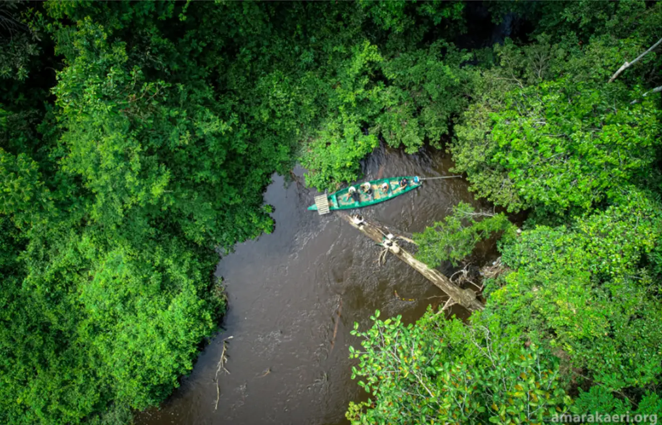 Se-proyecta-empezar-la-venta-de-carbono-en-la-Reserva-Amarekaeri-y-luego-en-otras-cuatro-reservas-comunales-con-mas-amenazas-de-deforestacion-Foto-Amarekaeri.org