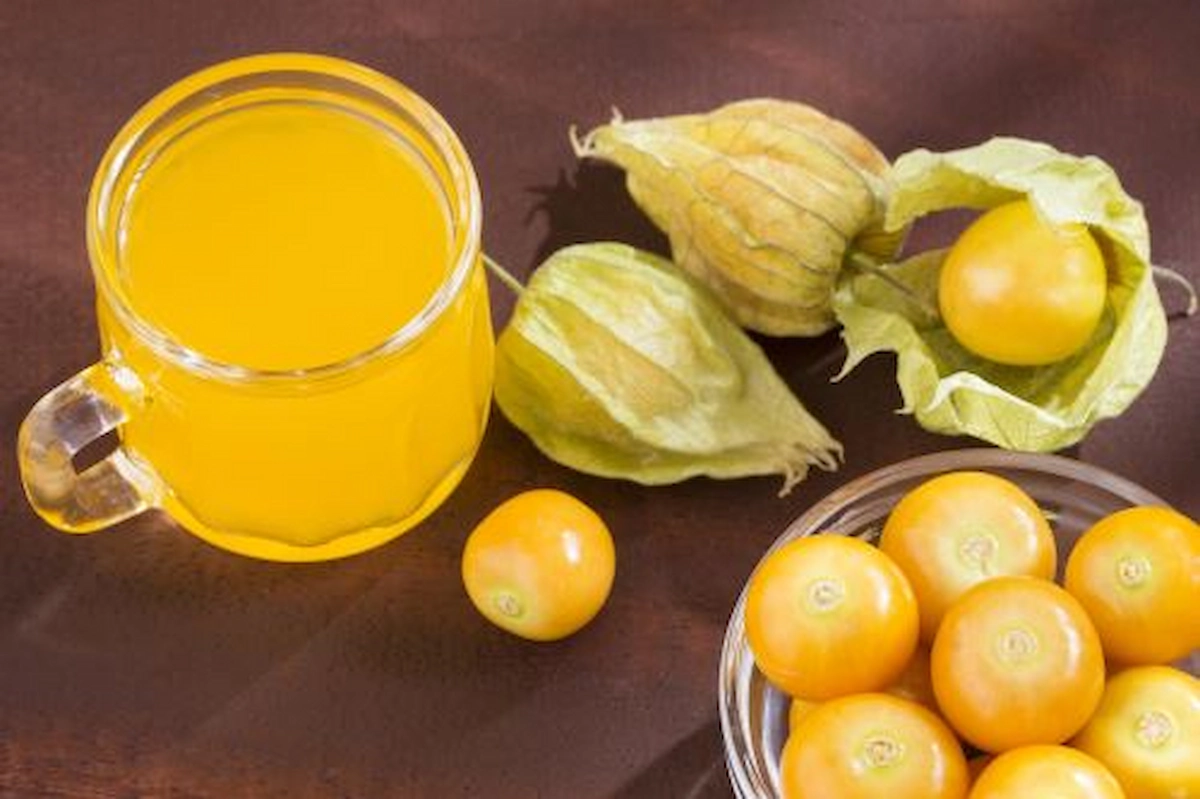 El aguaymanto es uno de los cinco mejores alimentos producidos en el Perú para la salud. Tiene altos contenidos de vitaminas A, B y C, calcio, hierro y fósforo, perfecto para fortalecer el sistema inmunológico y aumentar la producción de glóbulos rojos, idóneo para prevenir y combatir la anemia y desnutrición. (Foto: Andina).