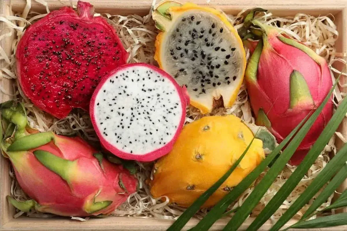 La pitahaya roja y amarilla es podada “fruta del dragón” por sus protuberancias exteriores. Esta fruta amazónica tiene riboflavina (vitamina B2), vital para producir glóbulos rojos. Su pulpa y semillas negras contienen gran cantidad de fibra, evitando el estreñimiento crónico. (Foto: Frutamare.com).