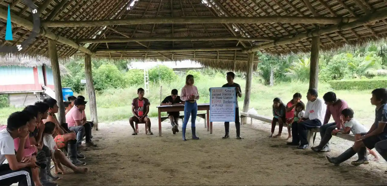 Asisten a comunidades nativas para elaborar declaraciones de manejo de productos forestales
