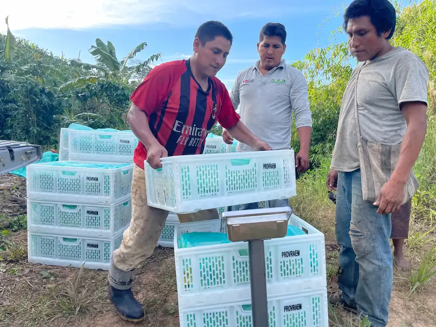 Esta iniciativa también tiene como objetivo fortalecer a las organizaciones y cooperativas.