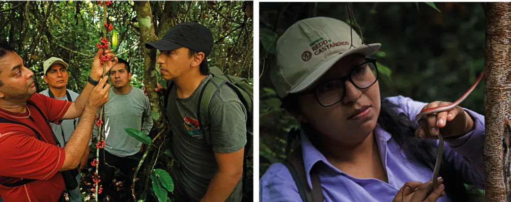 Destacan logros obtenidos por el proyecto REDD+ Castañeros en Madre de Dios