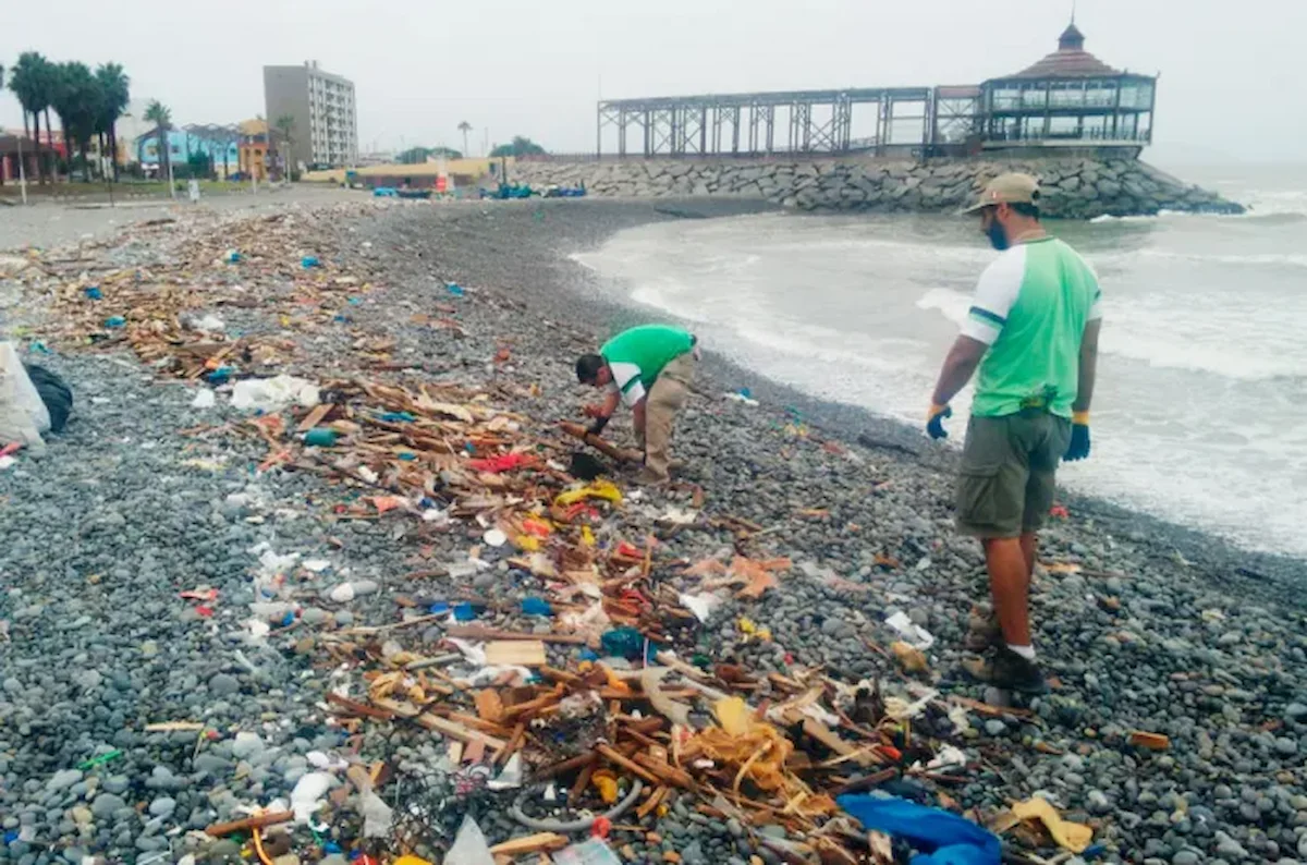 Los ecosistemas marino costeros están en peligro debido a la acumulación de residuos, emisión de aguas servidas y la sobreexplotación de especies. (Foto: Andina).