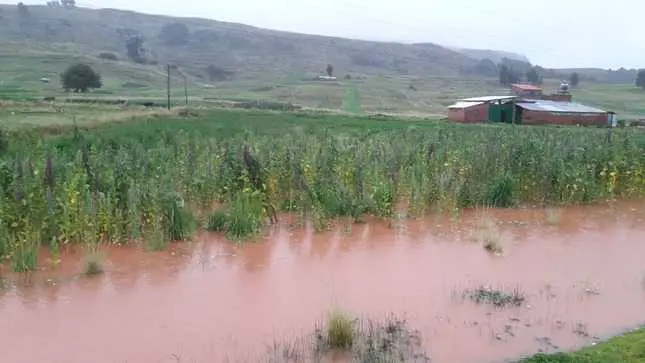 Senamhi no descarta daños en cultivos por intensas lluvias en la sierra. (Foto: Senamhi).