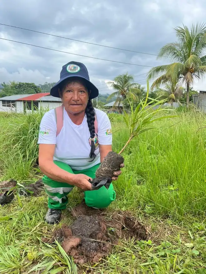 La actividad fue realizada en Satipo por personal de limpieza y funcionarios de la municipalidad. (Foto: Gerencia de ambiente de la municipalidad de Pangoa)