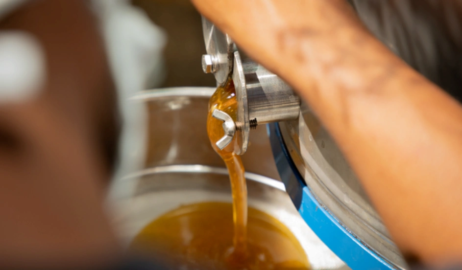 Vraem: Apicultores producen más de 10 mil kilos de miel y derivados