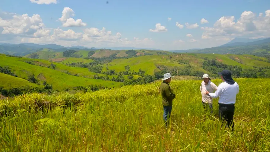 La iniciativa tiene como objetivo contribuir al cuidado del ambiente.