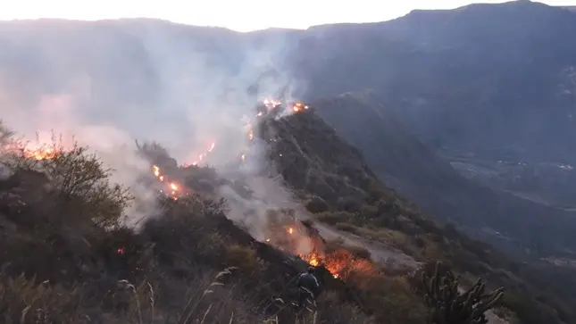 Incendios-forestales-1