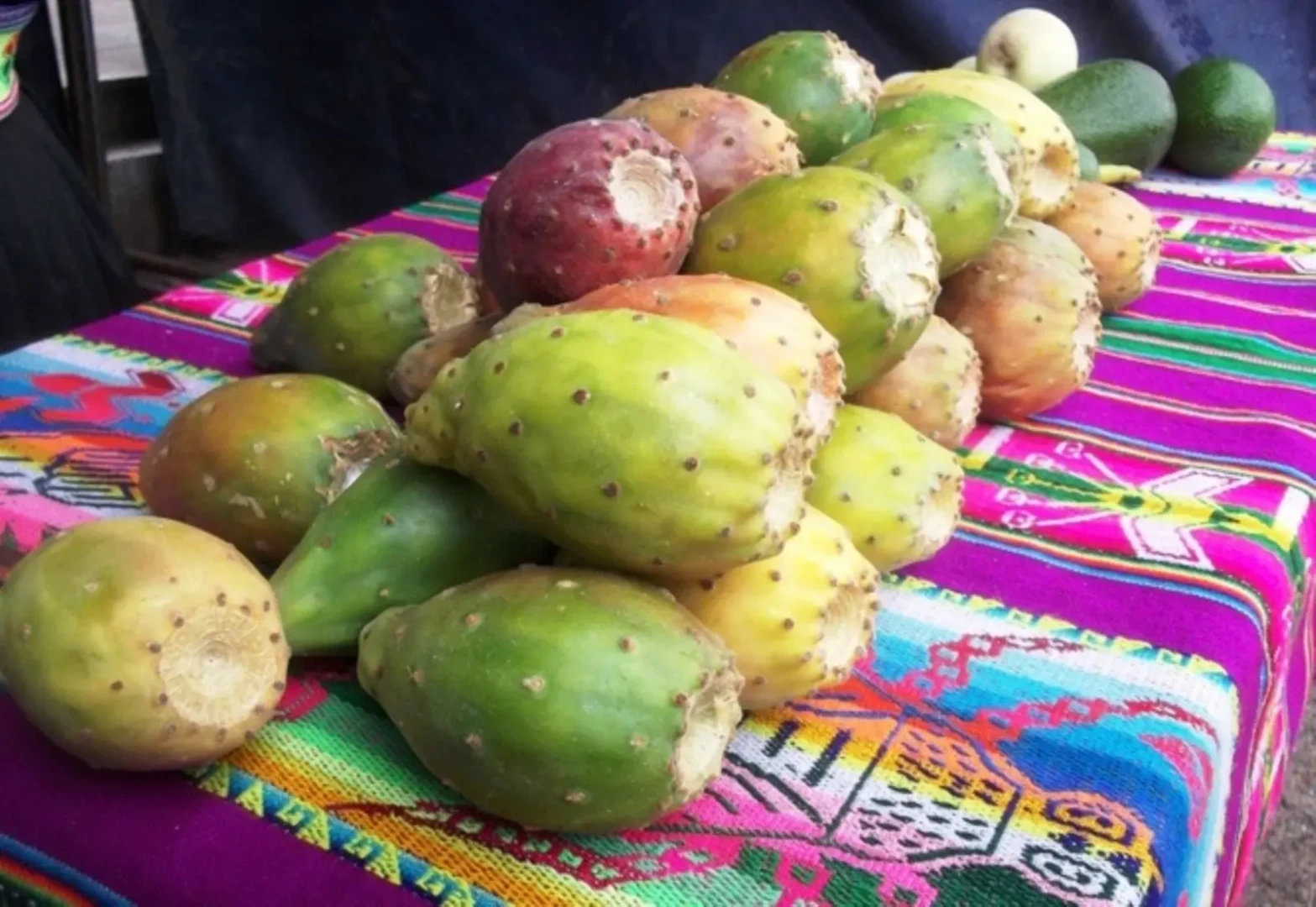 La tuna: Un superalimento que transforma la salud