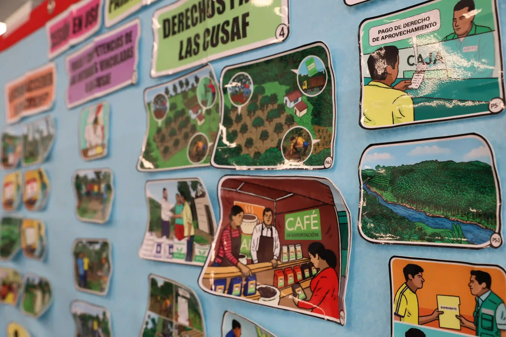 Cusaf-Osinfor-Agrofor-2