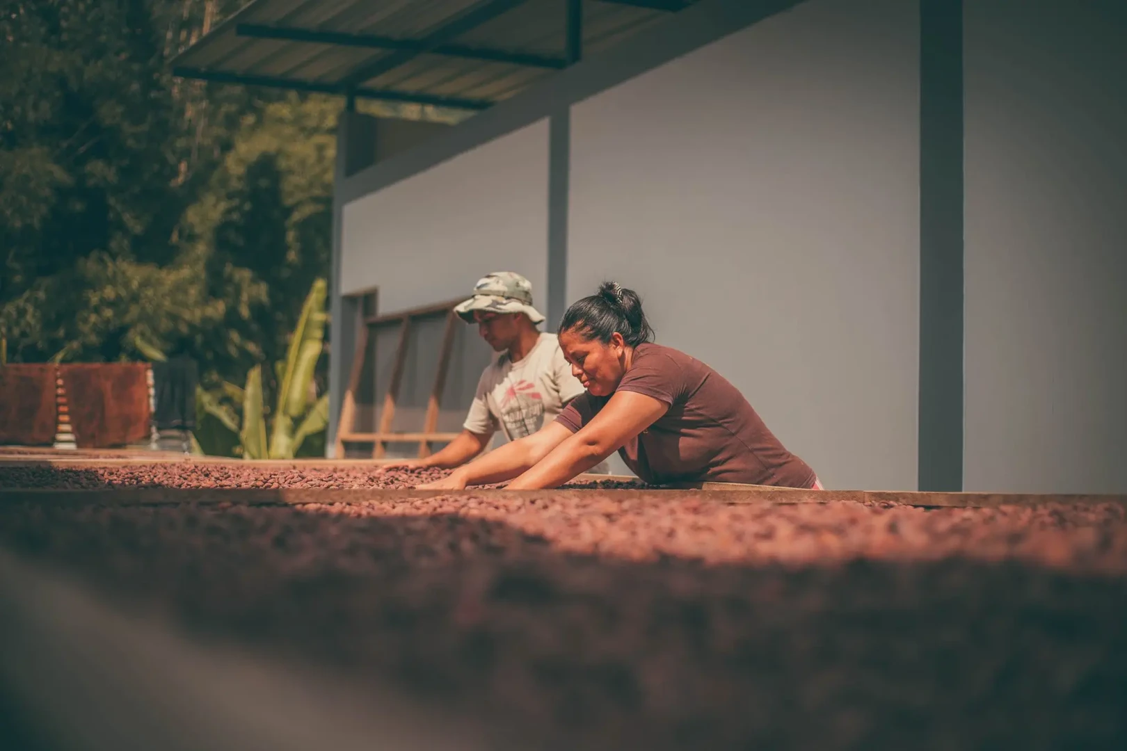 Las familias han podido desarrollarse gracias a la producción de chocolate.