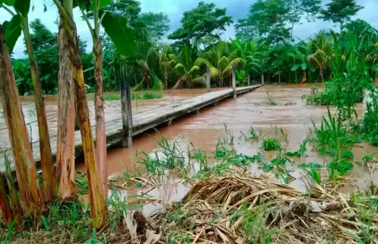 Urge enfrentar los efectos del cambio climático en el agro nacional