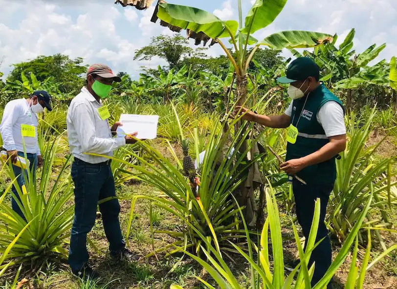 Gomero mencionó que las BPA benefician a los trabajadores agrícolas del país.