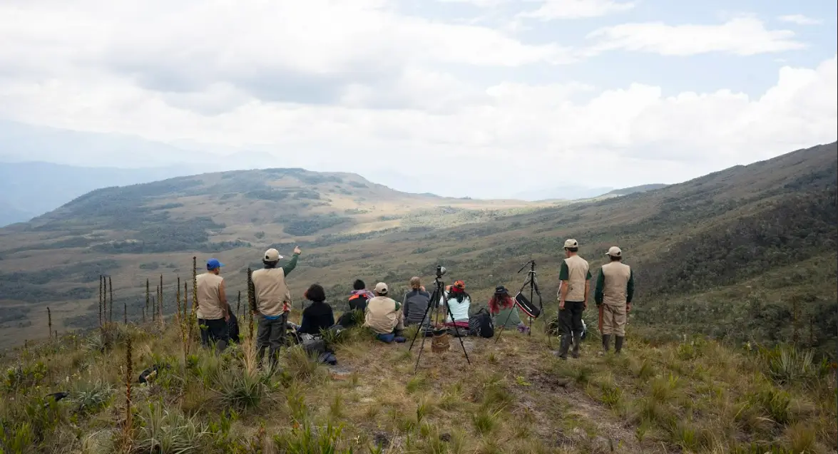 El oso de anteojos dorado de Corosha: Un caso único en el mundo