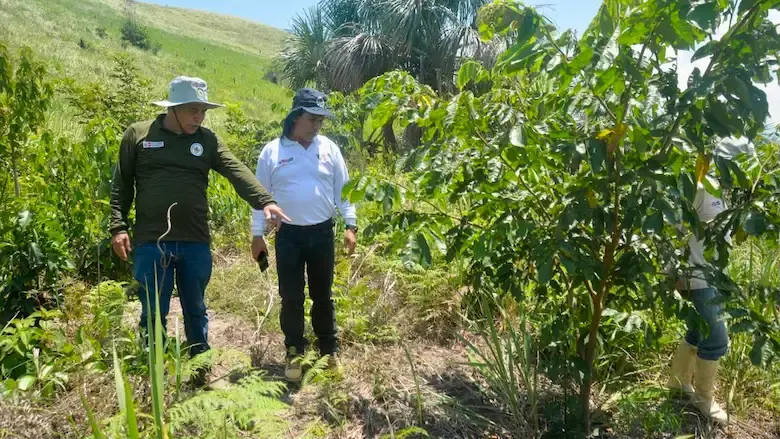 Canales de riego beneficiarán a familias agricultoras. (Foto: PEAH)