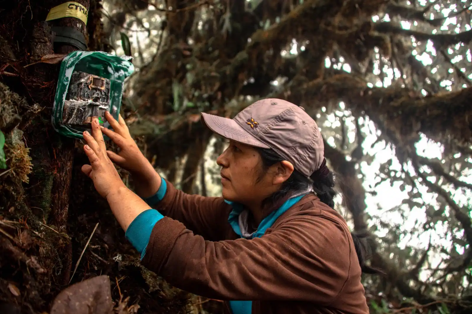 Conservacion-Amazonica-lidera-esfuerzos-de-conservacion-del-Oso-de-Andino-en-el-Valle-de-Kosnipata--Cusco-2