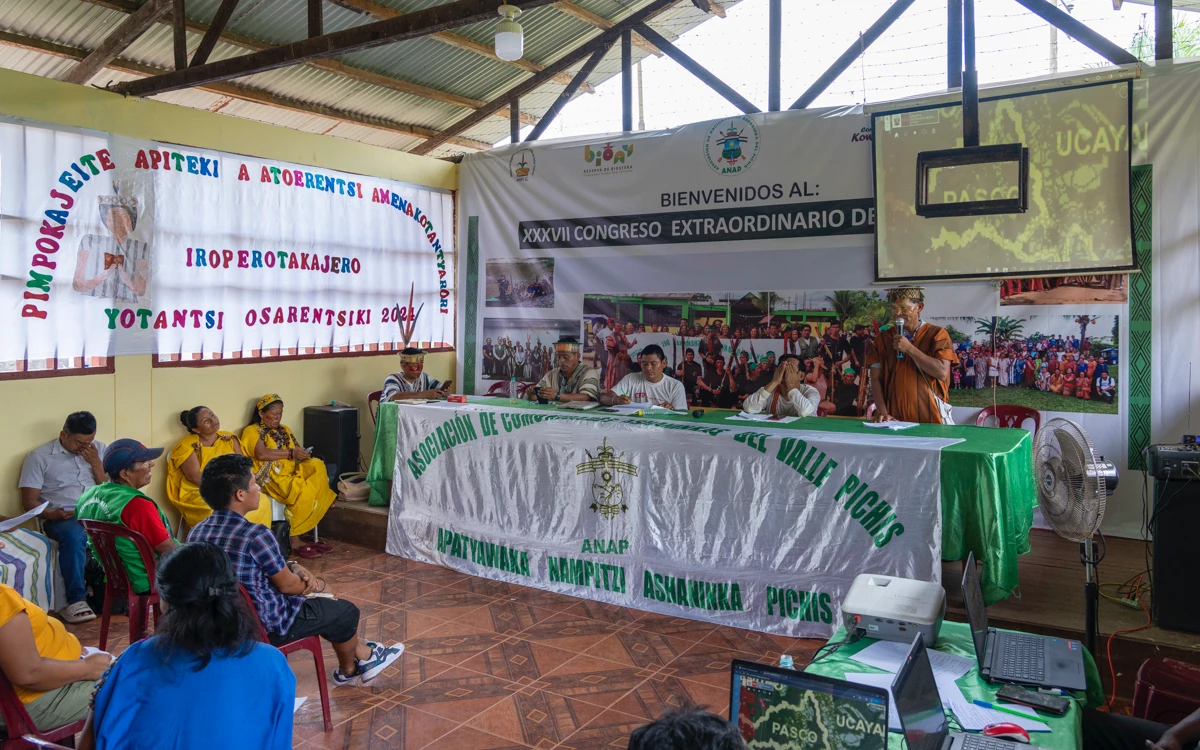 Congreso de la ANAP.