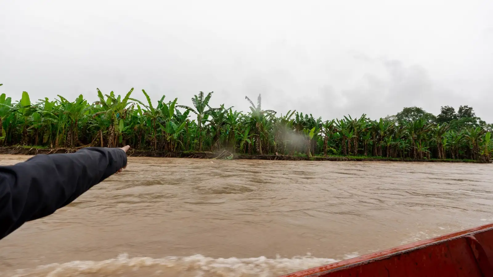 El hecho se registró en el caserío Ricardo Palma, provincia de Leoncio Prado, región Huánuco.
