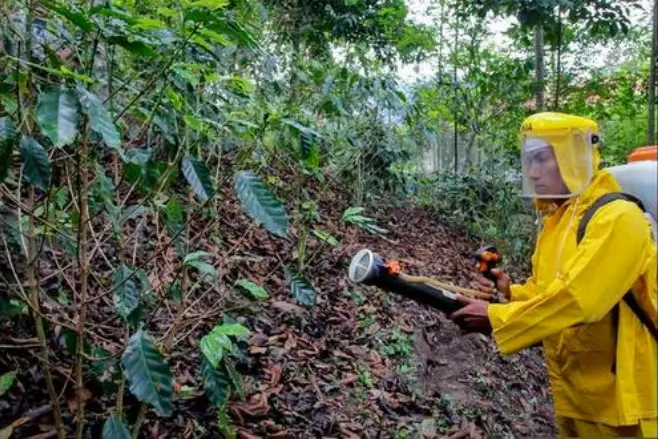 Alerta: Herbicida glifosato sigue poniendo en riesgo la salud humana