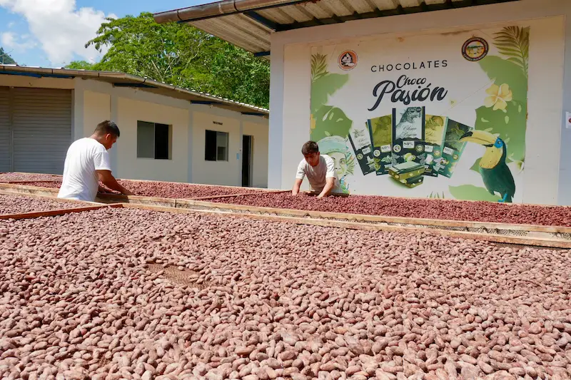 El grano cuesta aproximadamente S/ 25 soles, tres veces más de lo normal. (Foto: Inforegión).