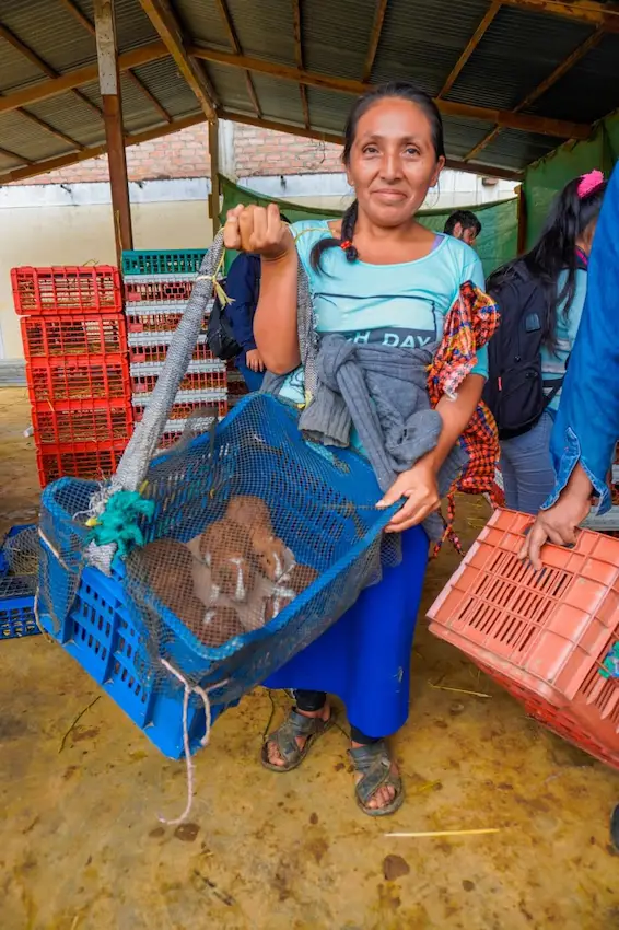 El proyecto tiene programado más entregas para el mes de marzo. (Foto: Municipalidad de Pangoa).