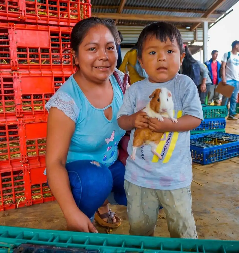 La productividad en la crianza de cuyes proporcionará una alternativa alimenticia. (Foto: Municipalidad de Pangoa).