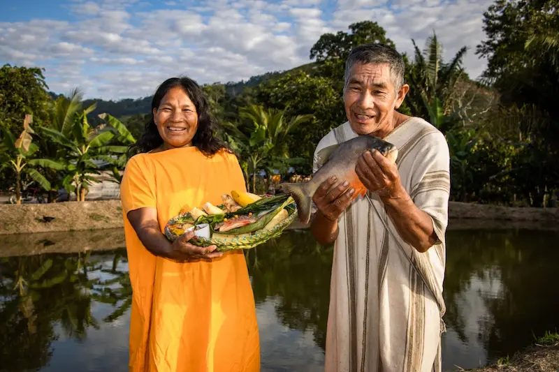 2871 familias asháninkas y nomatsigengas de la provincia de Satipo, región Junín, se vienen beneficiando con el proyecto. (Foto: Devida).