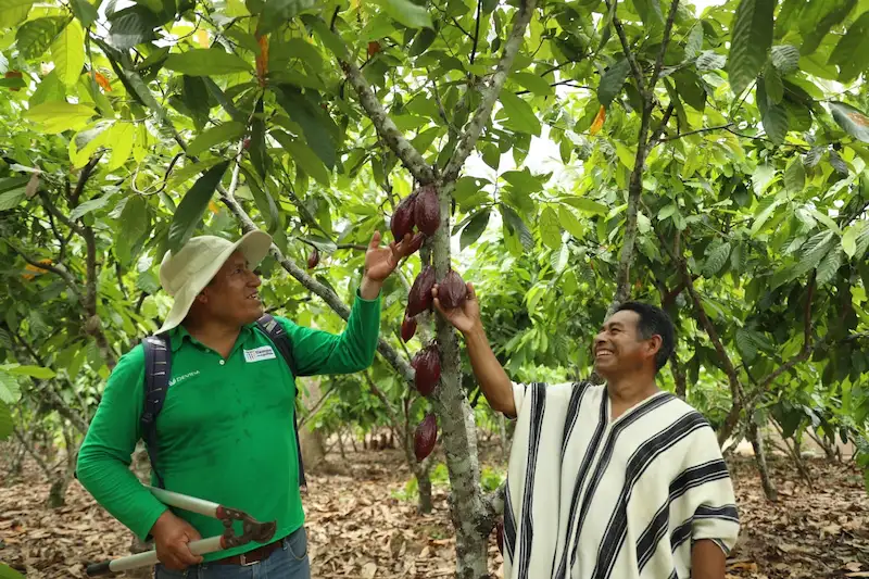 El proyecto permite que los beneficiarios monitoreen sus parcelas y el correcto funcionamiento de las mismas. (Foto: Devida).